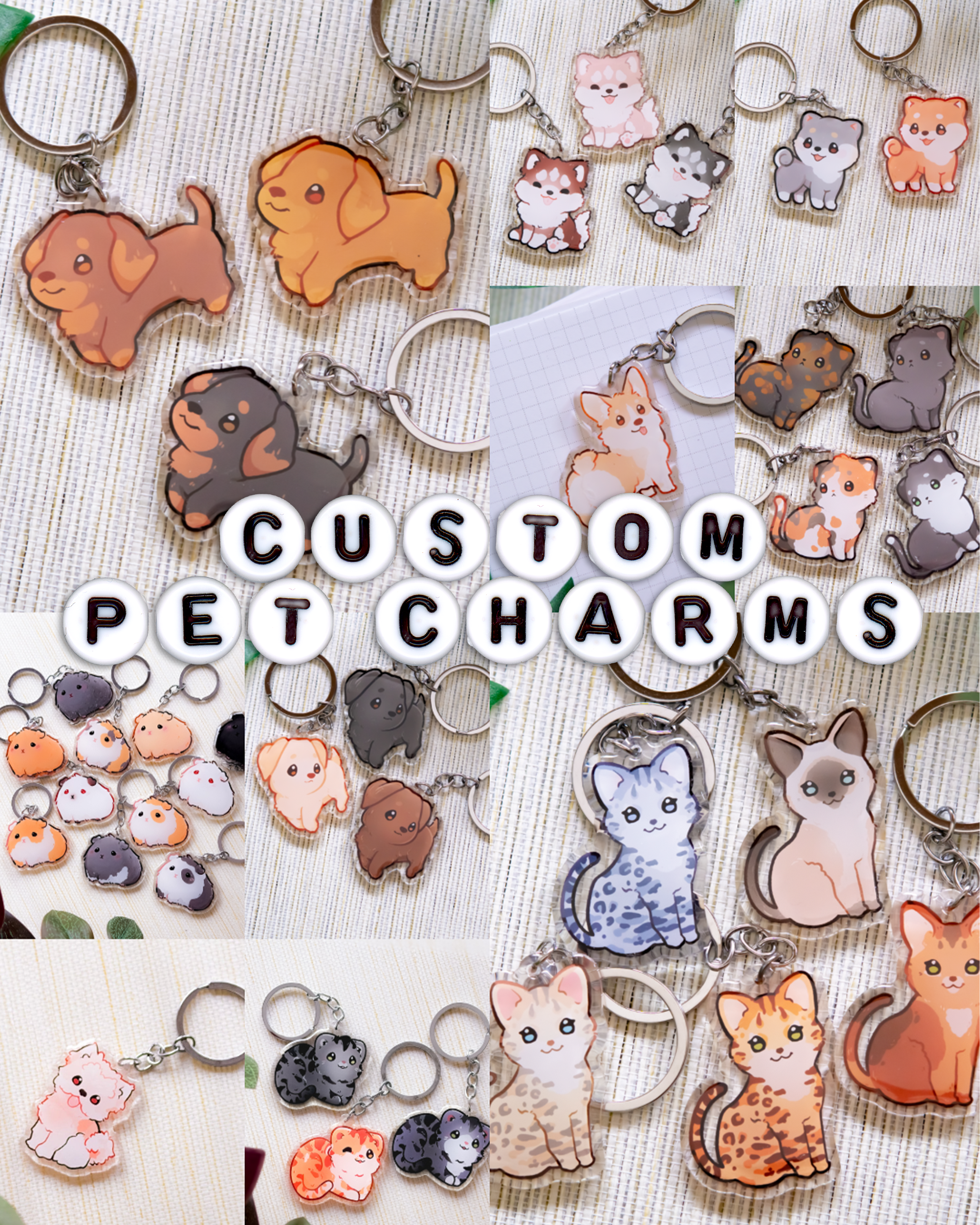 miamouz-custom-pet-keychain-acryl-anh-nger-1-haustier-pers-nlich image 1